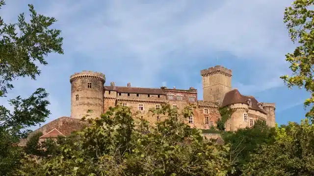 chateau de castelnau (6)