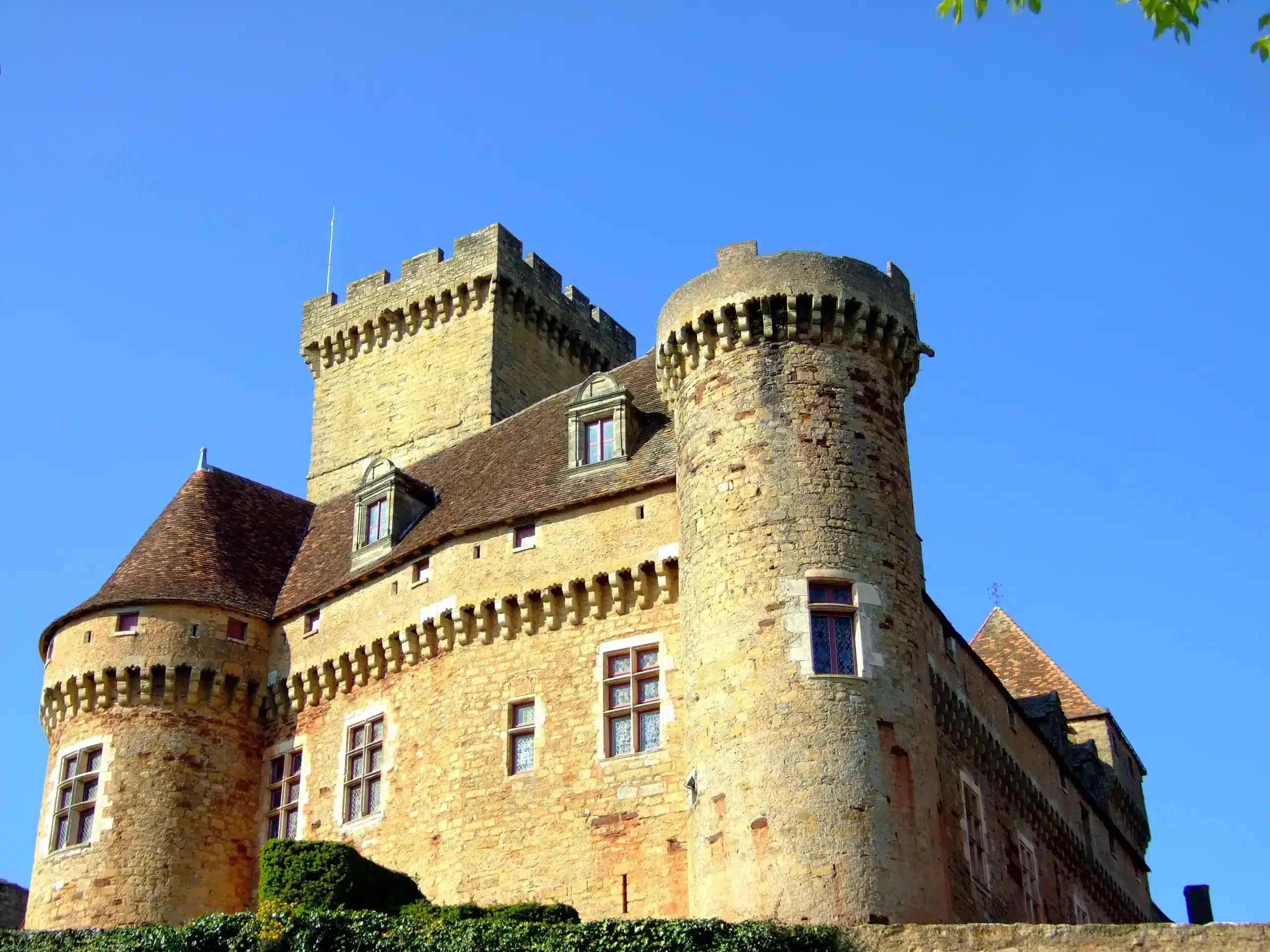 chateau de castelnau (8)