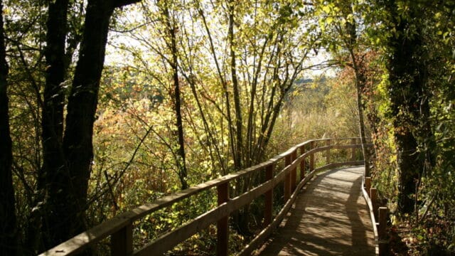 marais de bonnefont