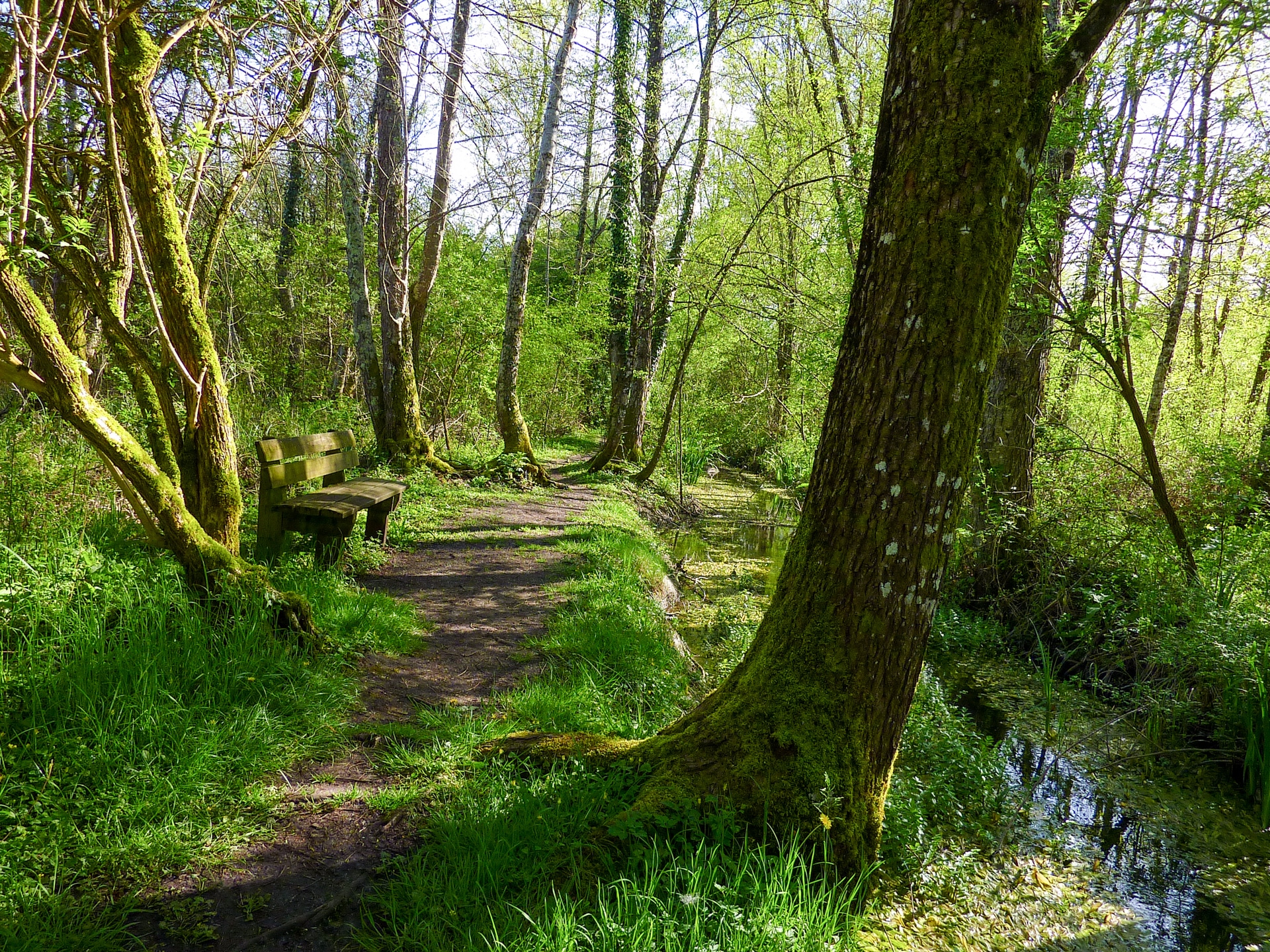 mrais de bonnefont pause along the stream