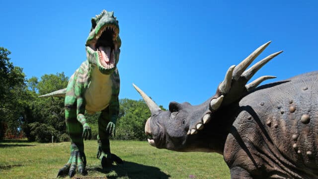 prehisto dino parc